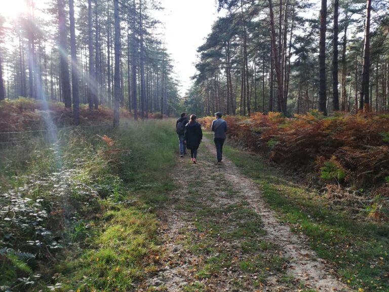 Balade à Chambord - Automne 2018