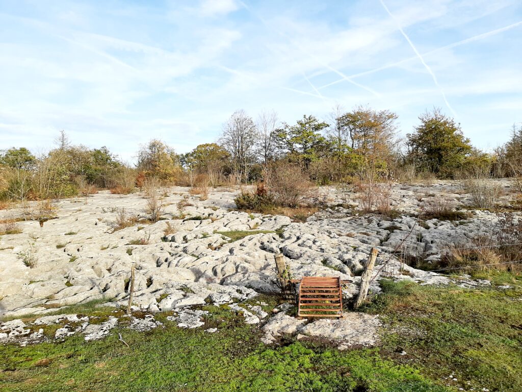 Lapiaz - Jura - Octobre 2022 2