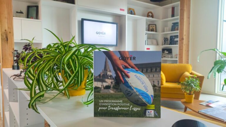 Livre-GOYER-Un-programme-dinsertion-positive-pour-transformer-lessai